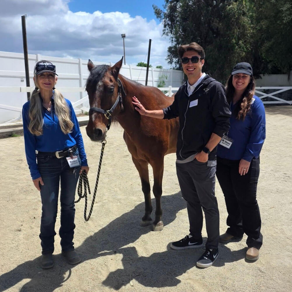 Three people wearing name badge lanyards stand together in a sunny outdoor arena, smiling as one of them gently rests a hand on a brown horse's neck.